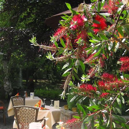 Landidyll Wilminks Parkhotel Neuenkirchen  Dış mekan fotoğraf
