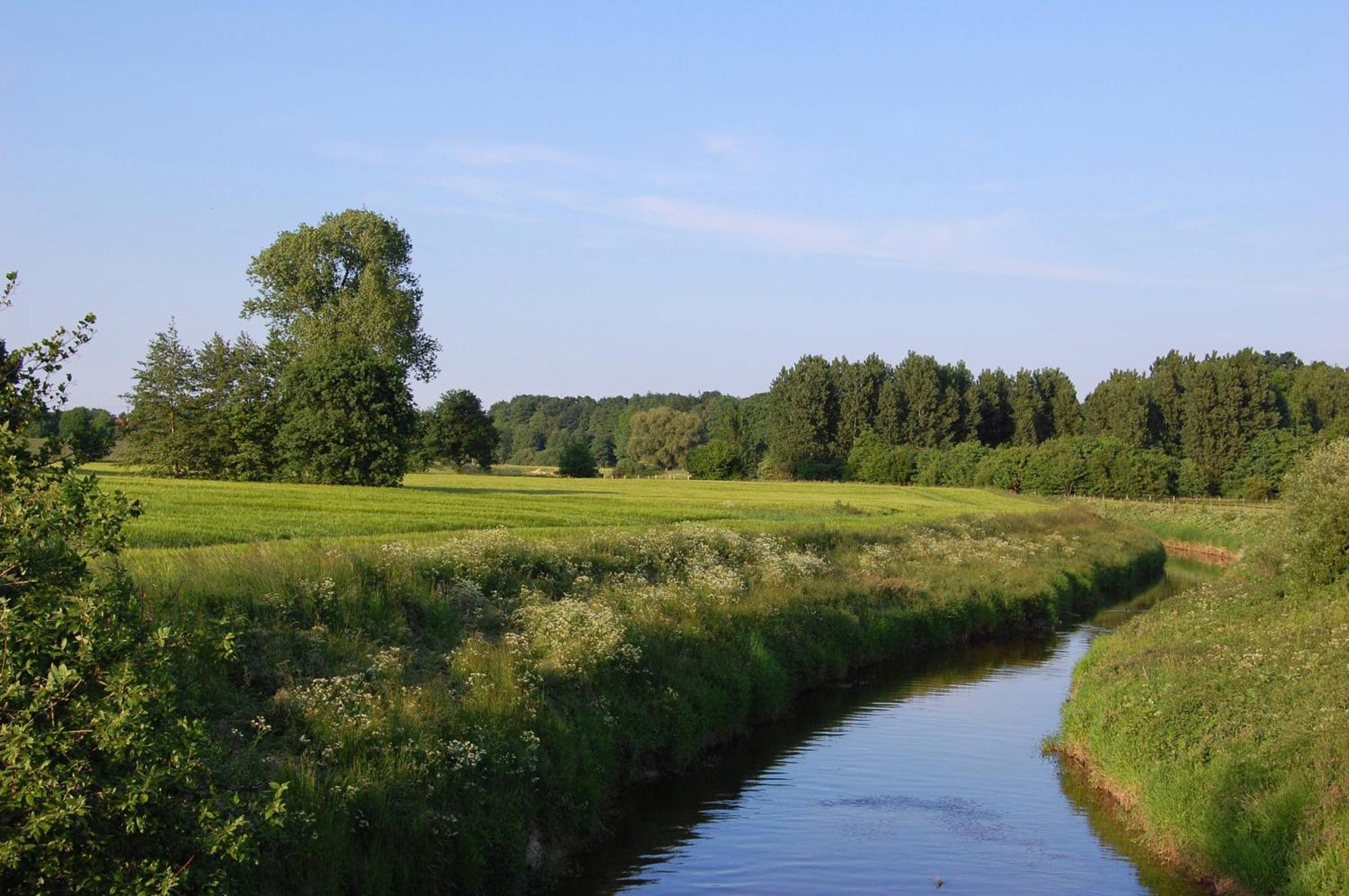 Landidyll Wilminks Parkhotel Neuenkirchen  Dış mekan fotoğraf
