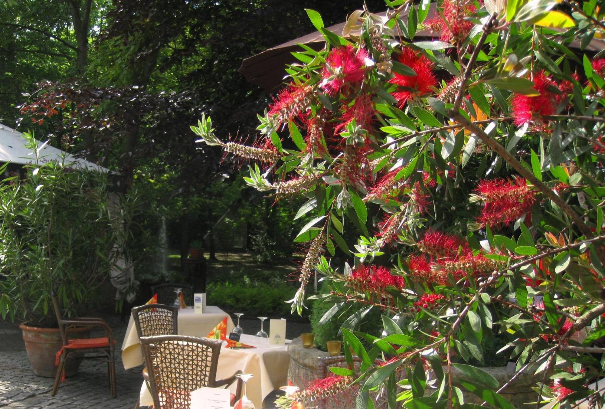 Landidyll Wilminks Parkhotel Neuenkirchen  Dış mekan fotoğraf